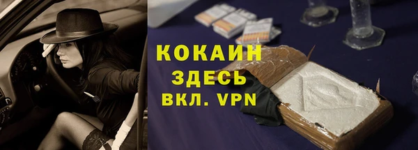 прущая мука Арсеньев